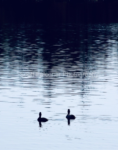 47e6e35a-3951-412a-99e2-80a4cc700851