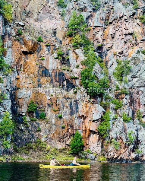 64605186-3b34-443f-b6e1-18cda3d10a13