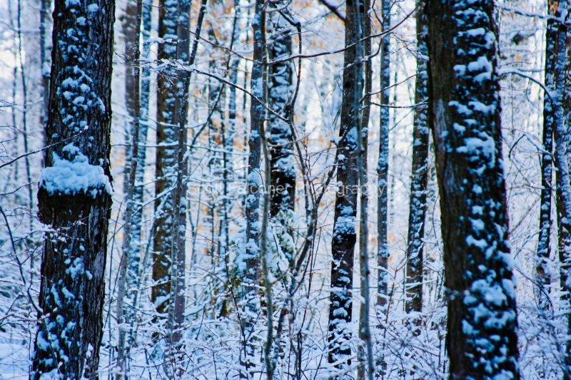 a33663b1-eab0-4d8f-84c4-bdde41ae9e87