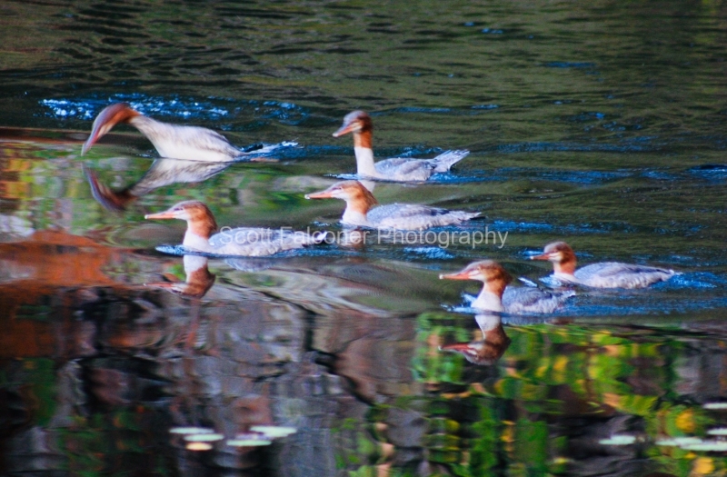 b3e8fe96-2ee6-4d50-9292-bdc4e0c929f6