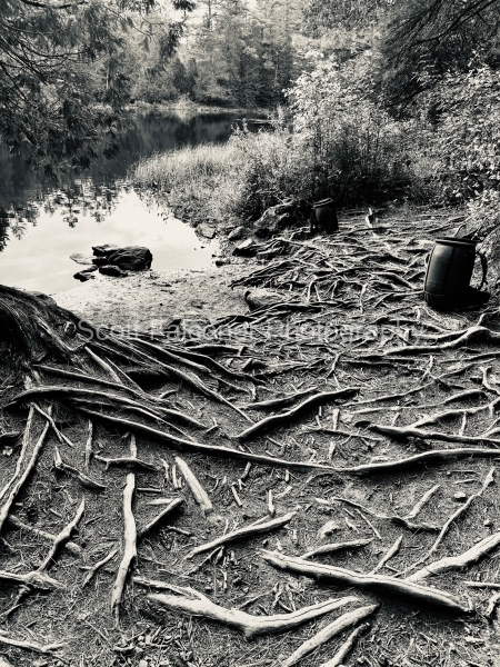 b91bb514-f2a2-4402-942c-9c2011718010