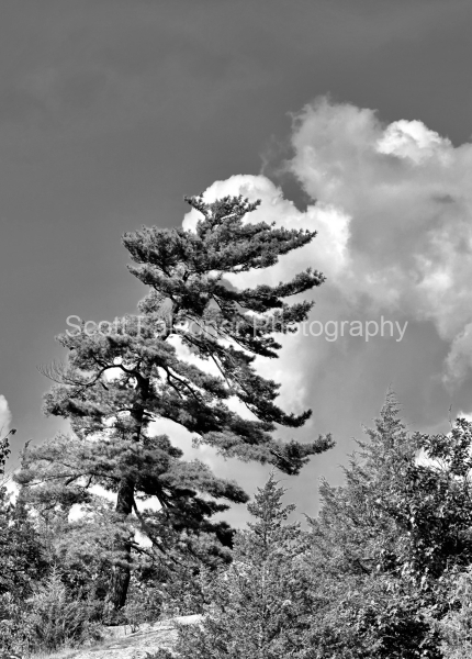 bcd7046f-29a3-497d-9832-227087ff453c