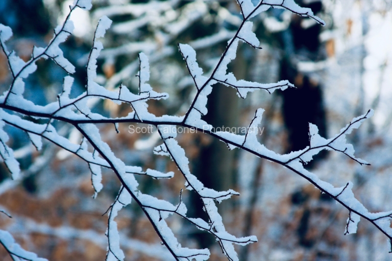 fe94ac45-f49a-4696-ac46-21af9e64a71a