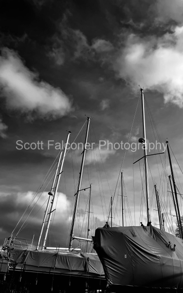 IMG_0819