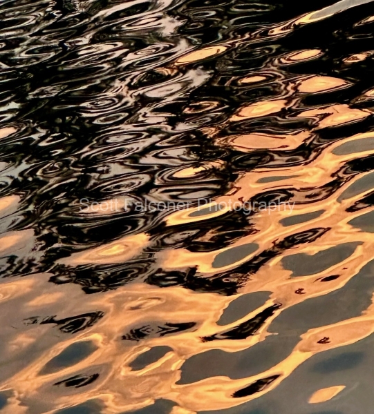 70d62e77-ee78-4d16-bdff-2f5afb16442c