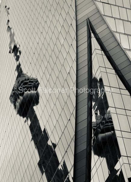 IMG_00781