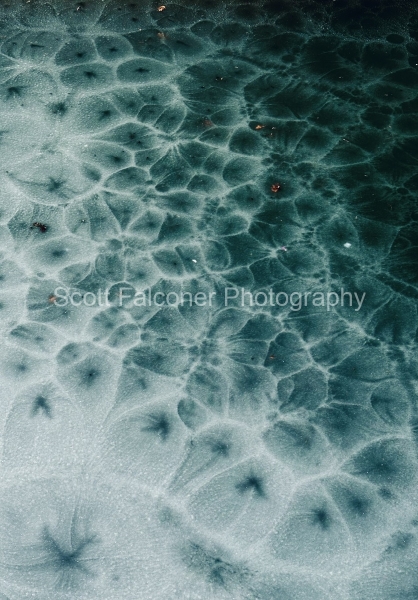 IMG_5758