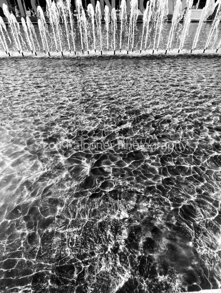 IMG_9814