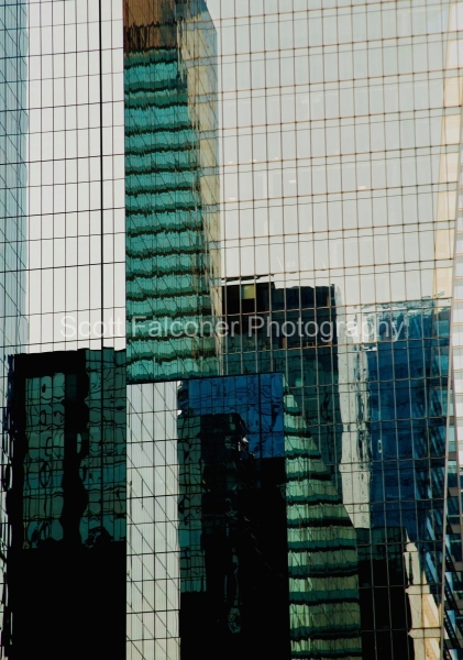 MG_14541